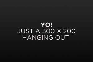 Image Alignment 300x200 Image Alignment 300x200