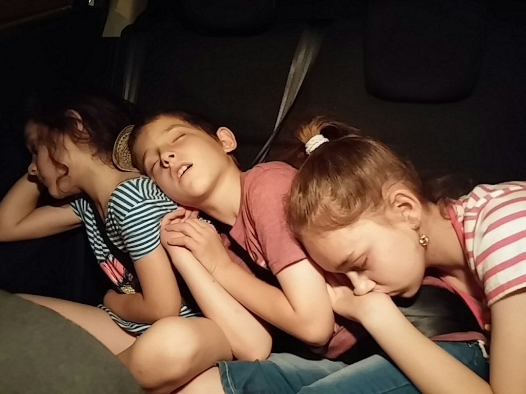 היעד: לראות את הילדים עייפים אבל מרוצים וישנים עמוק בדרך הביתה מעוד יום של חופשה. צילום: גליה שיזף