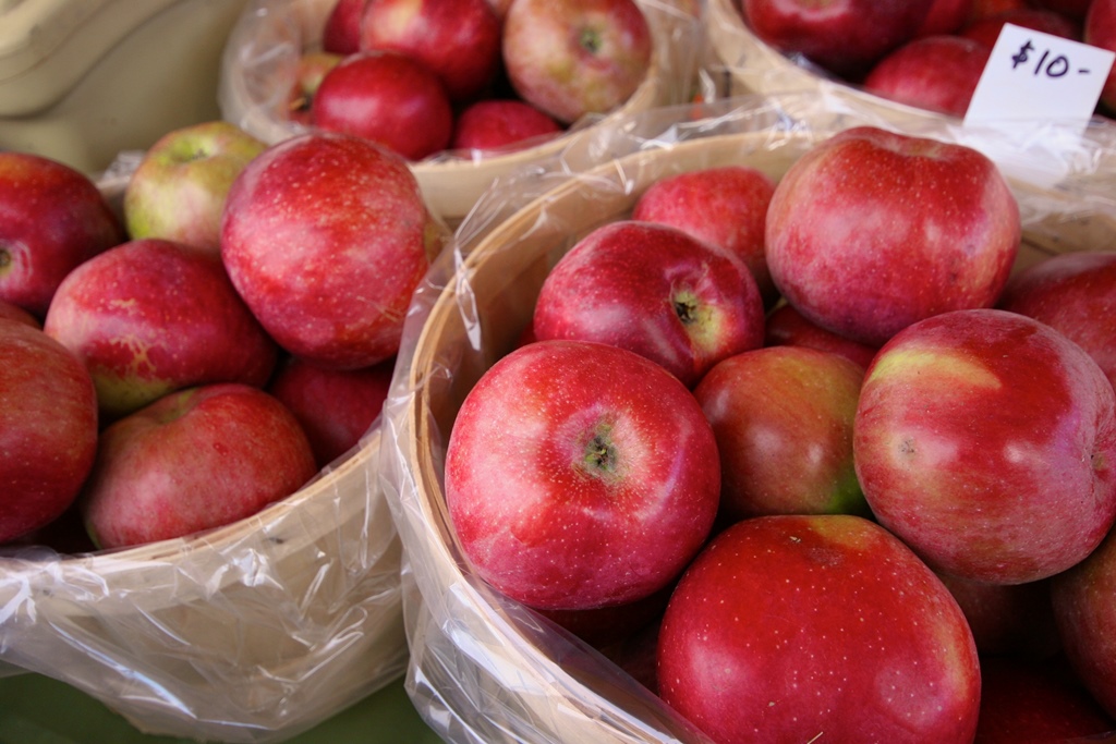 תרומה מוכחת לבריאות. צילום מועצת התפוחים האמריקאית